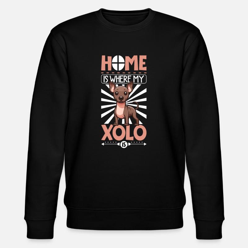 Accueil - Xoloitzcuintle - Sweat bio CHANGER Stanley/Stella Unisexe - noir