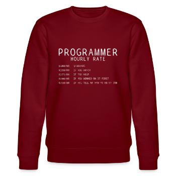 Salaire horaire du programmeur - Sweat bio CHANGER Stanley/Stella Unisexe - bordeaux - Devant - Nik (191cm) & Marisol (170cm)