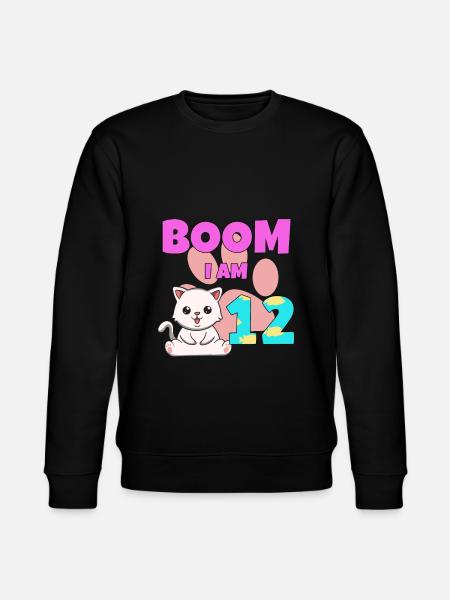 Chat de 12e anniversaire - Sweat bio CHANGER Stanley/Stella Unisexe - noir