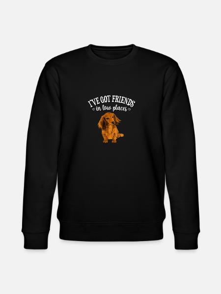 Long Haired Dachshund - Stanley/Stella CHANGER Unisex Organic Sweatshirt - black