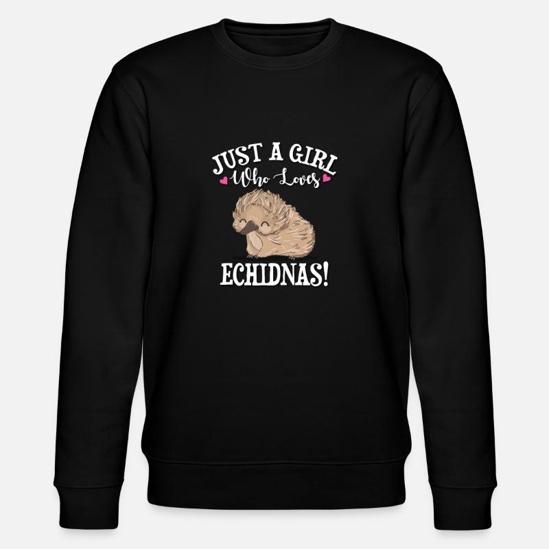 Échidné - Sweat bio CHANGER Stanley/Stella Unisexe - noir