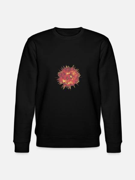 Fireball - Stanley/Stella Unisex Bio-Sweatshirt CHANGER - Schwarz