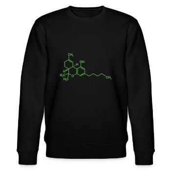 Tetrahydrocannabinol THC molécule - Sweat bio CHANGER Stanley/Stella Unisexe - noir - Devant - Nik (191cm) & Marisol (170cm)