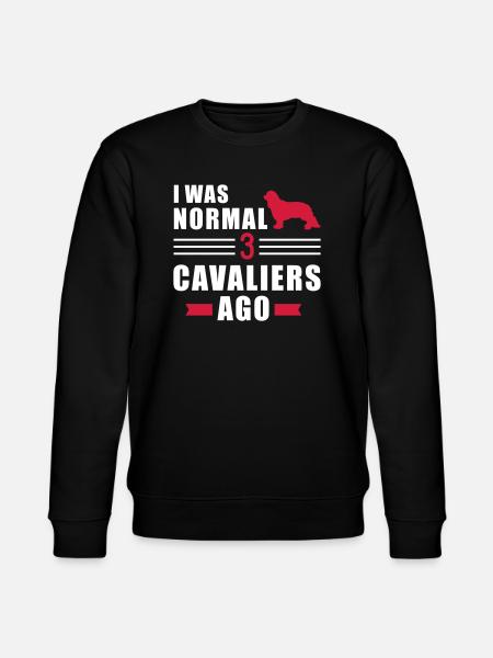 Cavalier King Charles - Stanley/Stella CHANGER Unisex Organic Sweatshirt - black