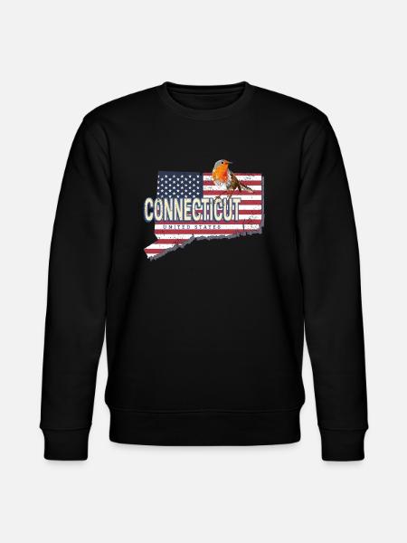 Connecticut United States Retro Map - Stanley/Stella CHANGER Unisex Organic Sweatshirt - black