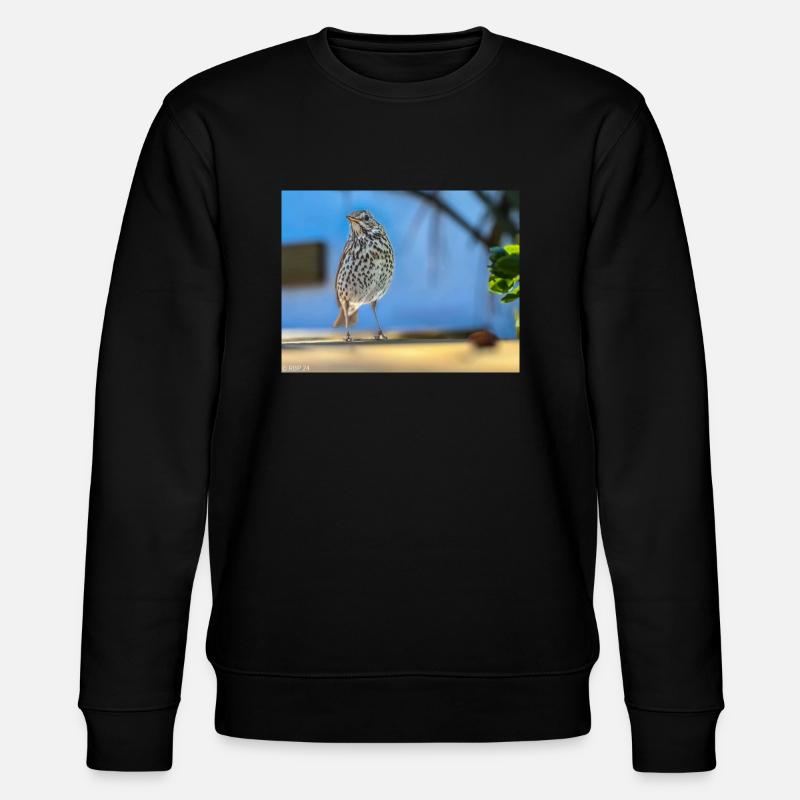 3C6DAC94 2483 48C8 B3C0 C91D9BD6FBB1 - Stanley/Stella CHANGER Unisex Organic Sweatshirt - black