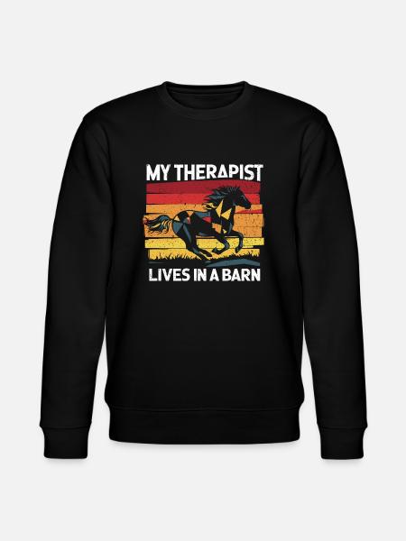 Pferdetherapie für die Seele - Stanley/Stella Unisex Bio-Sweatshirt CHANGER - Schwarz