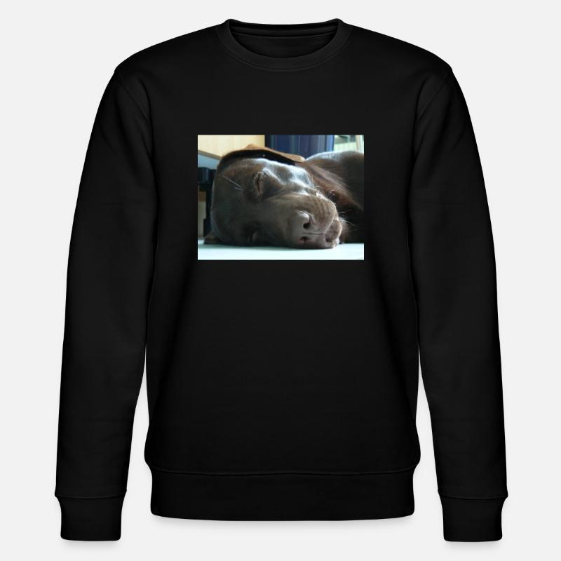 Mein Labrador - Stanley/Stella Unisex Bio-Sweatshirt CHANGER  - Schwarz