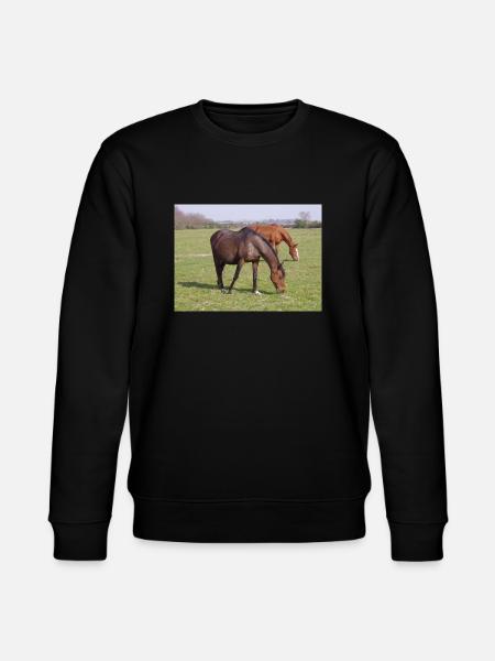 Pferde - Sweat bio CHANGER Stanley/Stella Unisexe - noir
