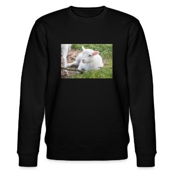 Lamb (Ovis) Lamb - Stanley/Stella CHANGER Unisex Organic Sweatshirt - black - Front - Nik (191cm) & Marisol (170cm)
