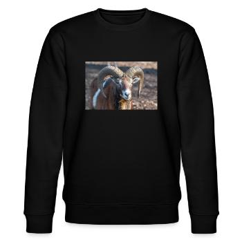 European mouflon (in german Europäischer Mufflon) - Stanley/Stella Unisex Bio-Sweatshirt CHANGER  - Schwarz - Vorne - Nik (191cm) & Marisol (170cm)