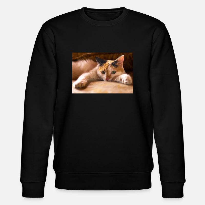 le chat - Sweat bio CHANGER Stanley/Stella Unisexe - noir