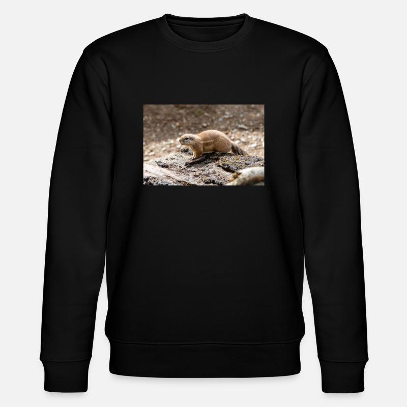Afrikanisches Ziesel Borstenhörnchen Xerus - Stanley/Stella Unisex Bio-Sweatshirt CHANGER  - Schwarz