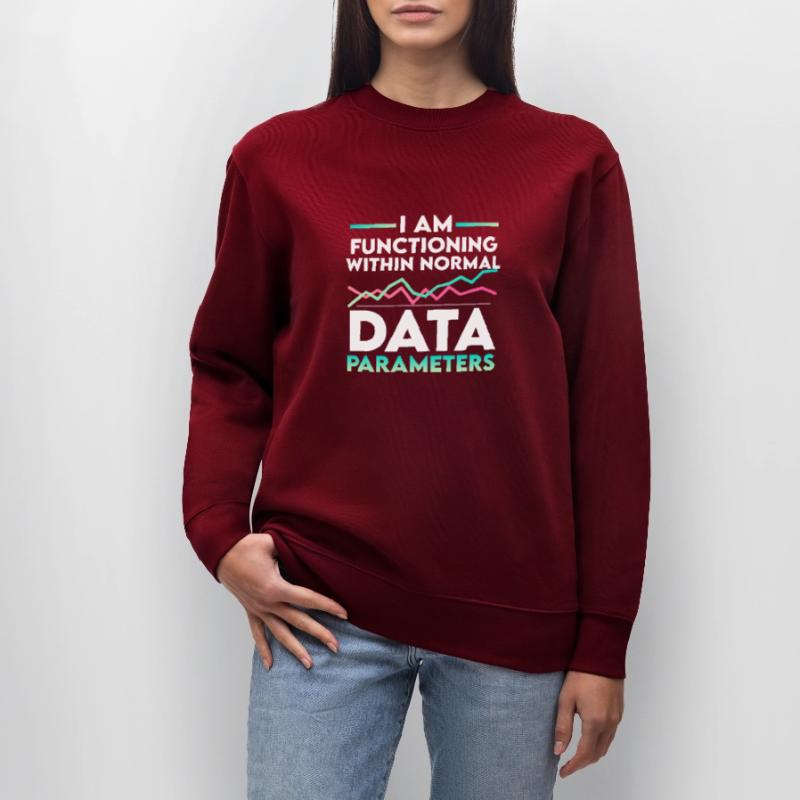 Parameters US Flag Computer Data Scientist Stanley/Stella CHANGER Unisex Organic Sweatshirt