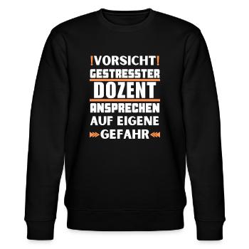 Don't talk to a stressed lecturer! - Stanley/Stella CHANGER Unisex Organic Sweatshirt - black - Front - Nik (191cm) & Marisol (170cm)
