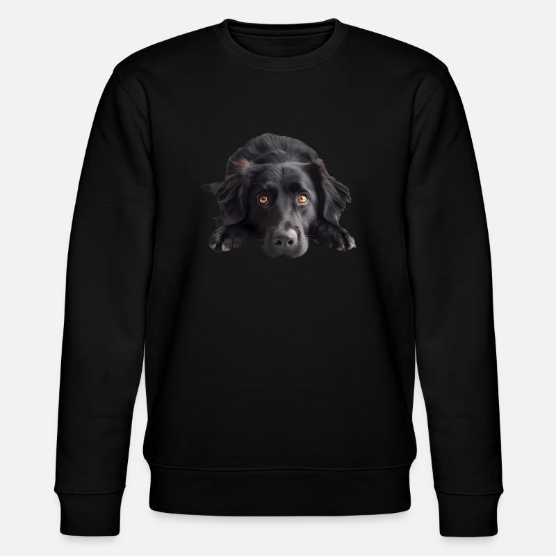 Retriever à poil plat - Sweat bio CHANGER Stanley/Stella Unisexe - noir
