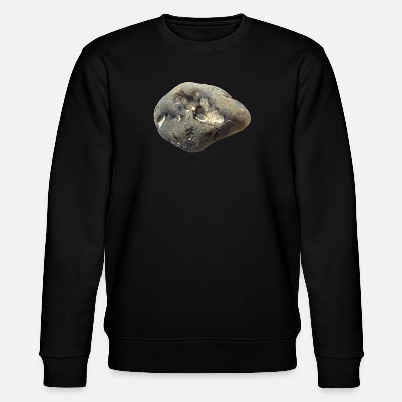 Stein - Stanley/Stella Unisex Bio-Sweatshirt CHANGER  - Schwarz