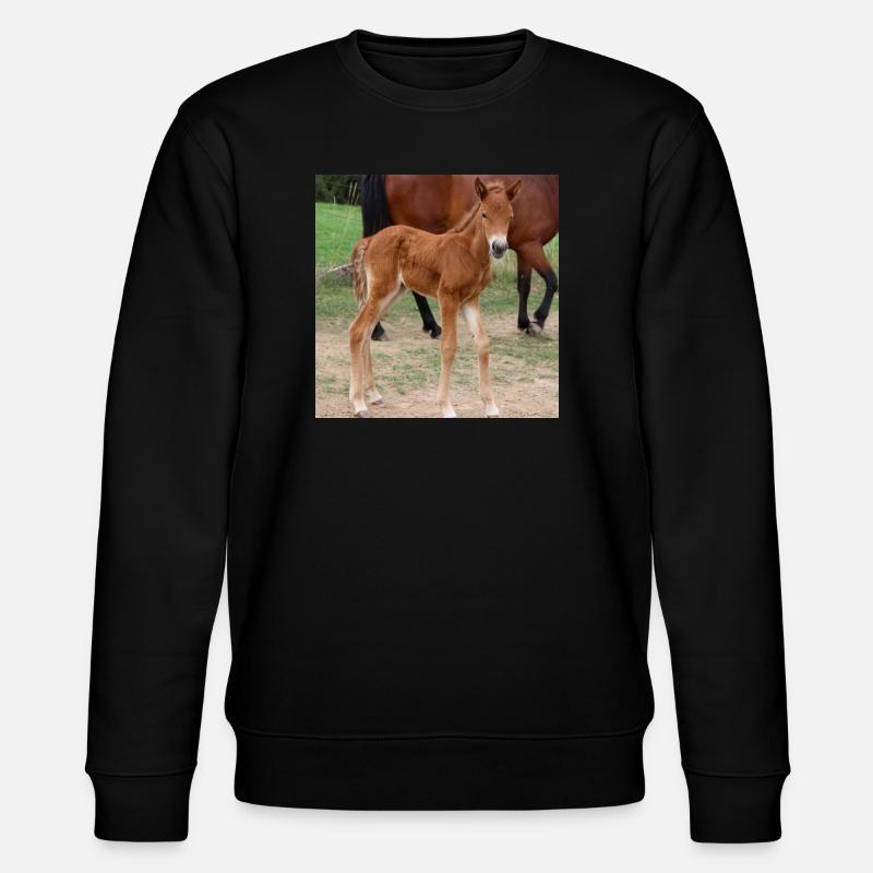 Pferd Pferdeposter - Stanley/Stella Unisex Bio-Sweatshirt CHANGER  - Schwarz