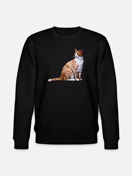 Chat chat chat Cat Cat - Sweat bio CHANGER Stanley/Stella Unisexe - noir
