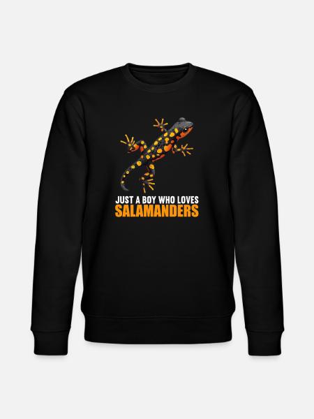 Salamandre de feu Salamandre - Sweat bio CHANGER Stanley/Stella Unisexe - noir