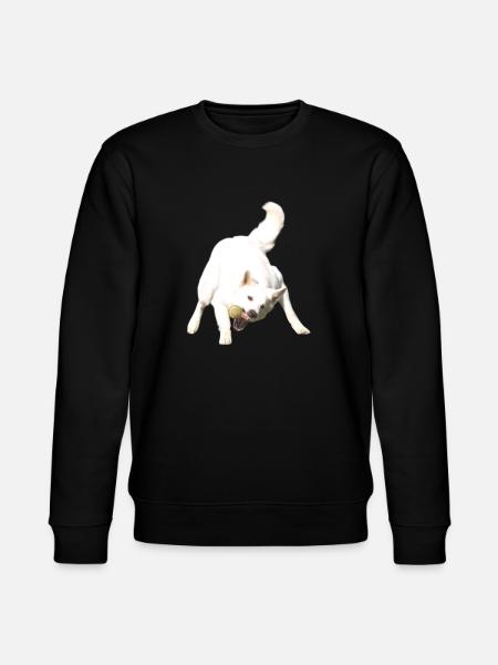 Attraper le ballon - Sweat bio CHANGER Stanley/Stella Unisexe - noir