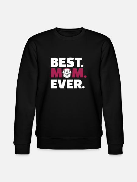 Terre-Neuve - Sweat bio CHANGER Stanley/Stella Unisexe - noir