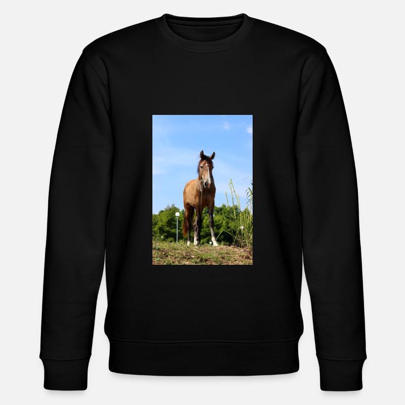 Pferd - Stanley/Stella Unisex Bio-Sweatshirt CHANGER  - Schwarz