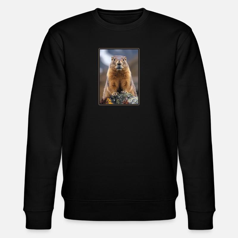 Marmottes Marmottes - Sweat bio CHANGER Stanley/Stella Unisexe - noir