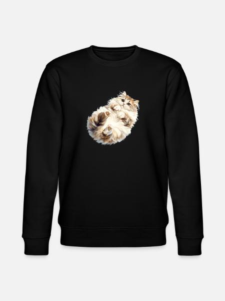 Ragamuffin Kitten Ragamuffin Cat - Stanley/Stella CHANGER Unisex Organic Sweatshirt - black