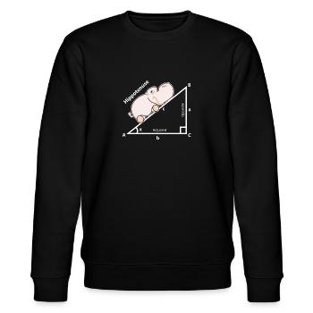 Hippo Mathematik - Stanley/Stella Unisex Bio-Sweatshirt CHANGER  - Schwarz - Vorne - Nik (191cm) & Marisol (170cm)