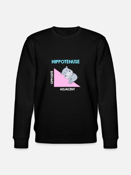 Hippotenuse Algebra Analysis - Stanley/Stella Unisex Bio-Sweatshirt CHANGER  - Schwarz