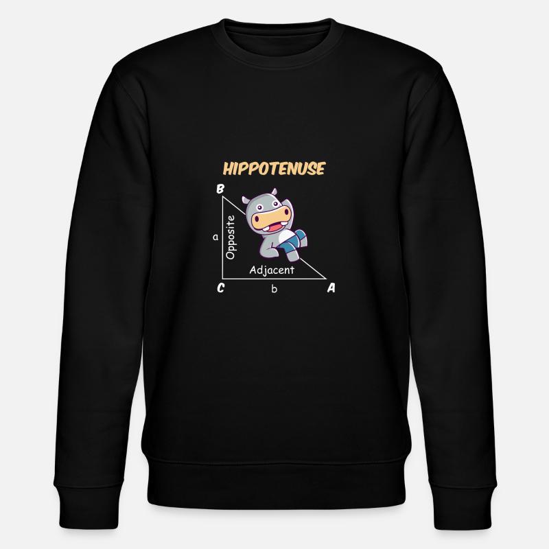 Drôle de mathématicien Design Hippotenuse - Sweat bio CHANGER Stanley/Stella Unisexe - noir