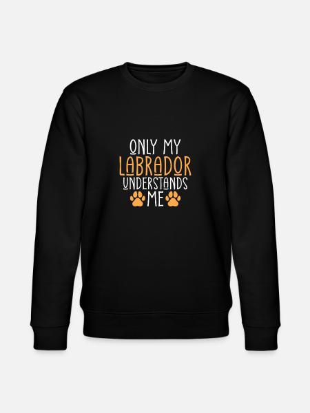 Cadeaux amoureux du Labrador - Sweat bio CHANGER Stanley/Stella Unisexe - noir