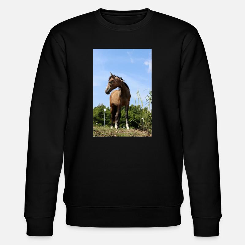 Chevaux T-shirt Cadeau Cavalier - Sweat bio CHANGER Stanley/Stella Unisexe - noir
