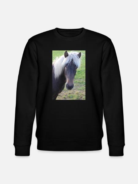 Affiche Cheval Cheval - Sweat bio CHANGER Stanley/Stella Unisexe - noir