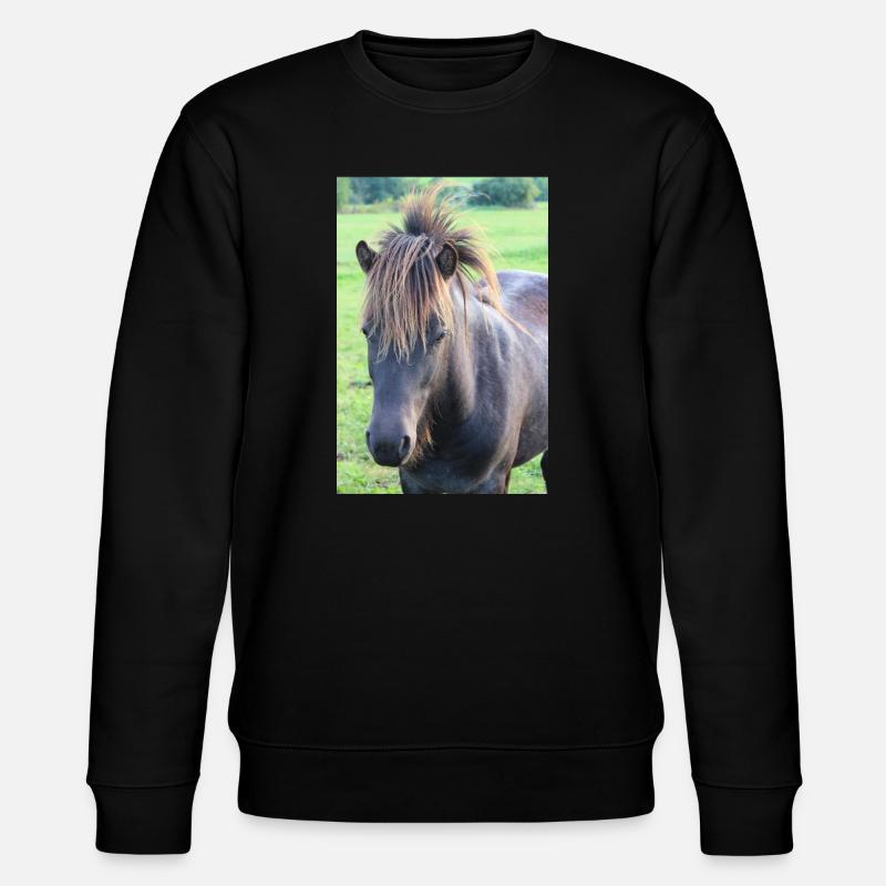 Affiche Cheval Cheval - Sweat bio CHANGER Stanley/Stella Unisexe - noir