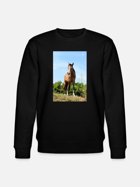Affiche Cheval Cheval - Sweat bio CHANGER Stanley/Stella Unisexe - noir