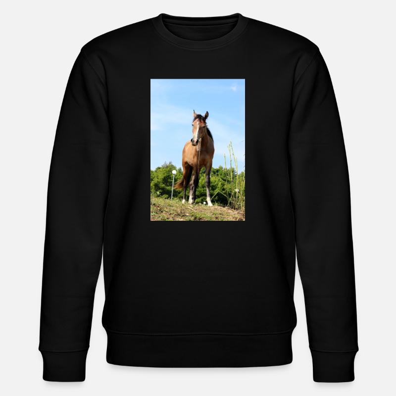 Pferd Pferdeposter - Stanley/Stella Unisex Bio-Sweatshirt CHANGER  - Schwarz