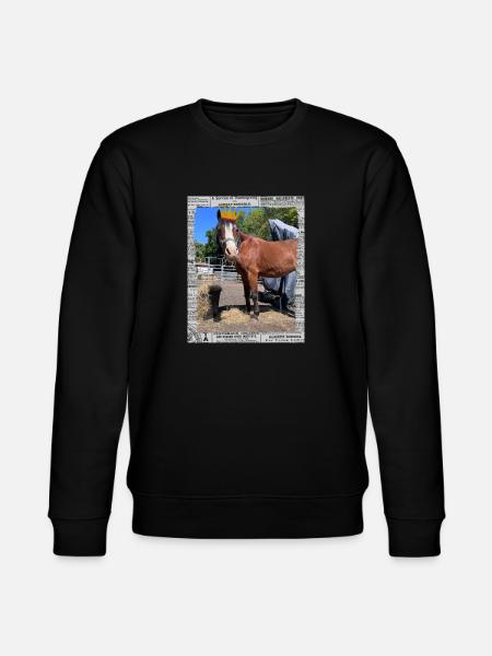 Sunny Princess - Stanley/Stella Unisex Bio-Sweatshirt CHANGER - Schwarz