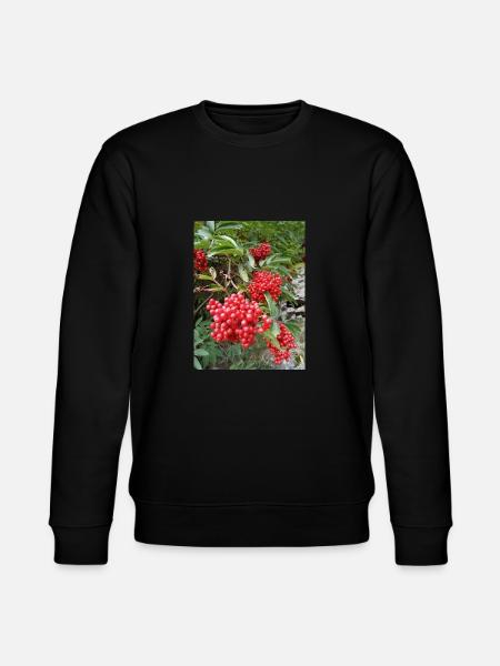 Roter Holunder - Stanley/Stella Unisex Bio-Sweatshirt CHANGER - Schwarz