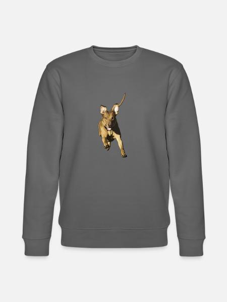 Rhodesian Ridgeback Livernose - Stanley/Stella Unisex Bio-Sweatshirt CHANGER -