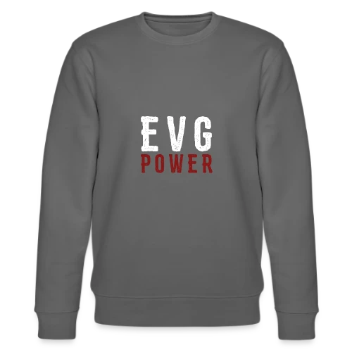 EVG : La Fête du Futur Marié - Sweat bio CHANGER Stanley/Stella Unisexe
