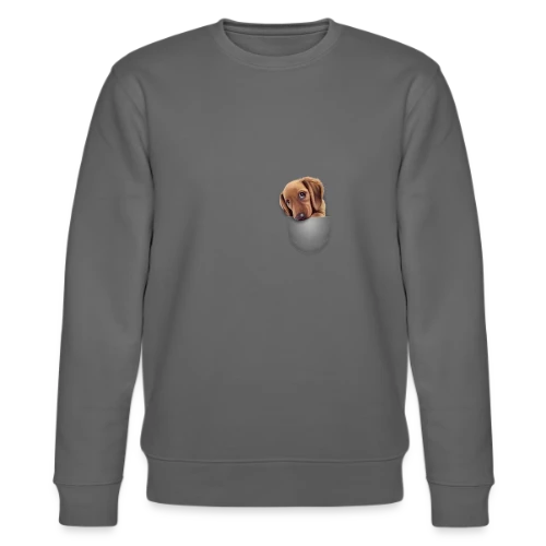 Chien de Poche - Sweat bio CHANGER Stanley/Stella Unisexe