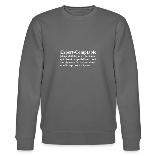 Définition de l'Expert-Comptable | T-Shirt Humour Métier - Sweat bio CHANGER Stanley/Stella Unisexe