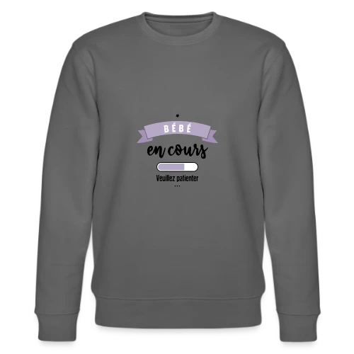 Bébé en Cours : Annonce Humoristique & Originale - Sweat bio CHANGER Stanley/Stella Unisexe