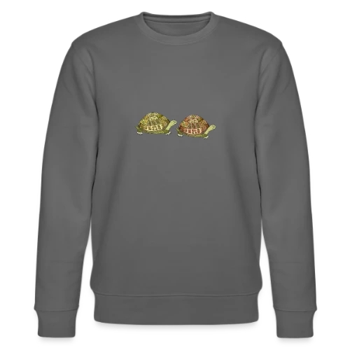 Tortue Élégante - Sweat bio CHANGER Stanley/Stella Unisexe