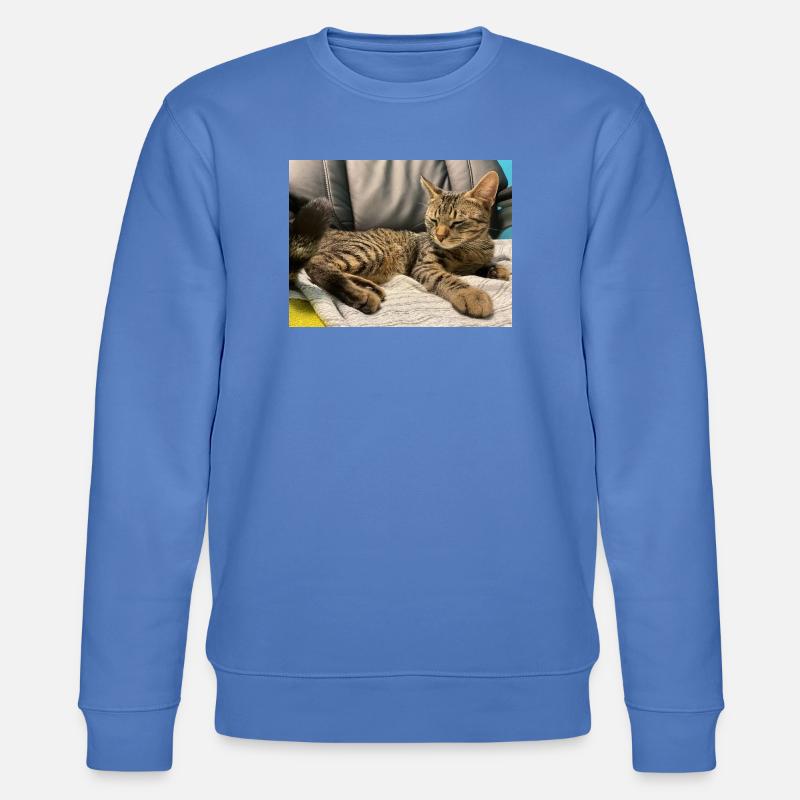 Gemütliche Tigerkatze im Licht - Stanley/Stella Unisex Bio-Sweatshirt CHANGER - Blau