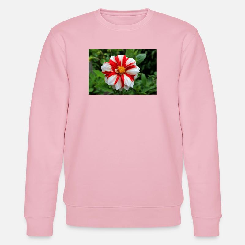 Dahlia blanc rouge fleur, fleur - Sweat bio CHANGER Stanley/Stella Unisexe - rose pâle