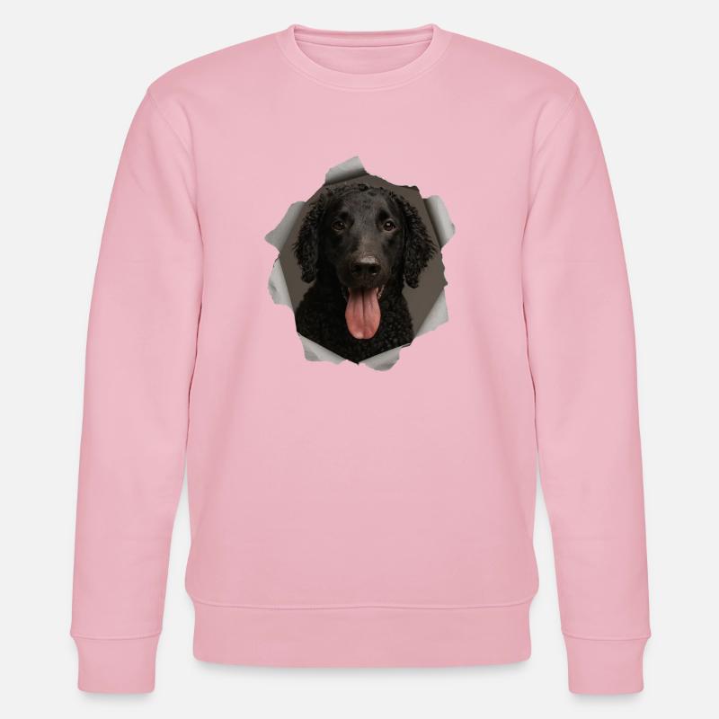Curly Coated Retriever - Stanley/Stella Unisex Bio-Sweatshirt CHANGER  - Hellrosa