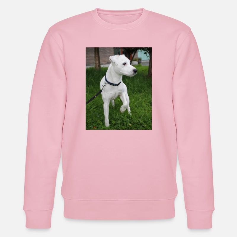 image00004 - Sweat bio CHANGER Stanley/Stella Unisexe - rose pâle